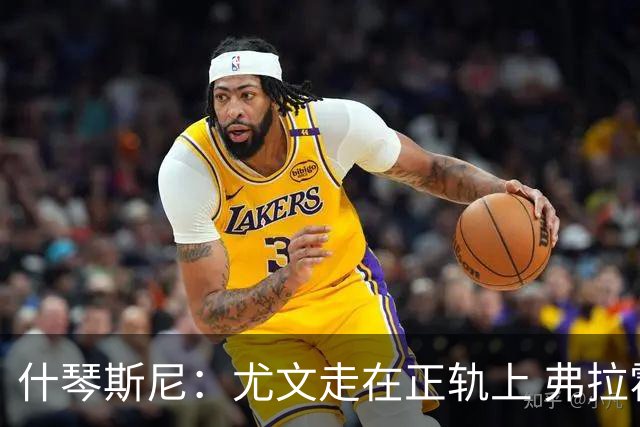 什琴斯尼：尤文走在正轨上 弗拉霍维奇非常出色