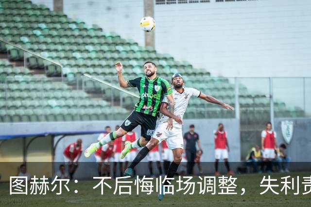 图赫尔：不后悔临场调整，失利责任我来扛